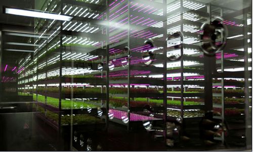 科技賦能，綠色未來 2018中國國際植物工廠及農業照明博覽會即將在滬開幕